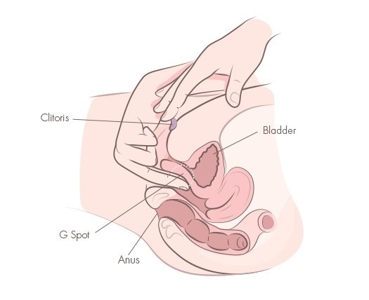 Ilustração mostrando uma mão estimulando o Ponto G internamente enquanto a outra mão estimula o clitóris