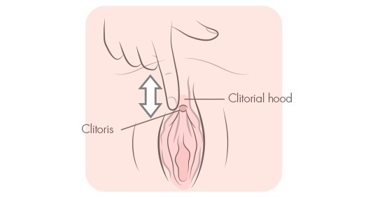 Ilustração mostrando o movimento vertical do dedo sobre o clitóris
