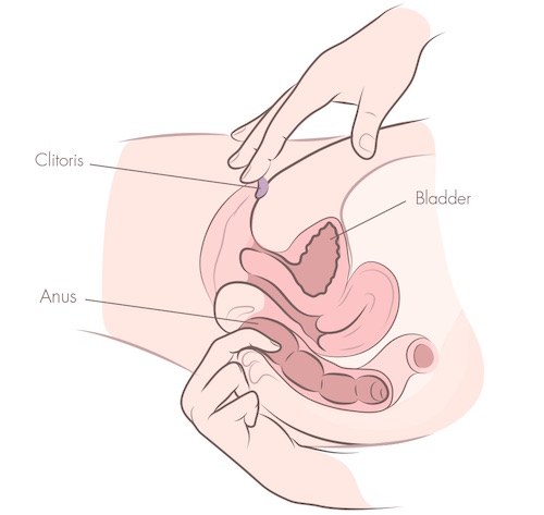 Ilustração mostrando a estimulação anal combinada com a estimulação vaginal simultânea